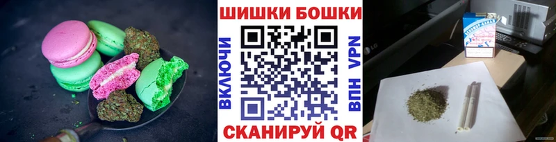 Купить закладки  Грайворон  Canna-Cookies марихуана 