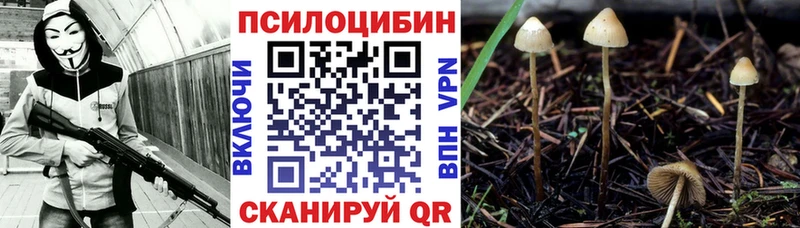 Купить закладки  Грайворон  Псилоцибиновые грибы ЛСД 